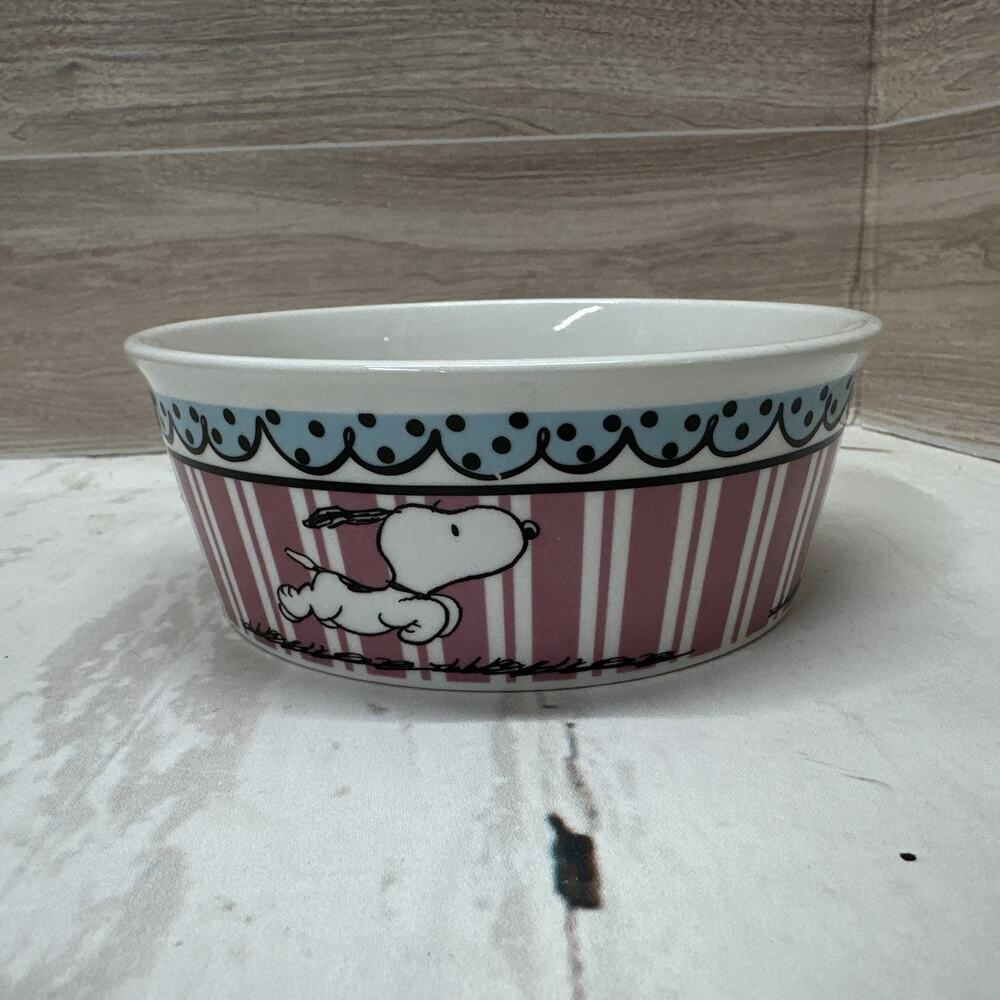 Gibson Peanuts Snoopy Pink Stripes Pet Bowl, 5” Diameter